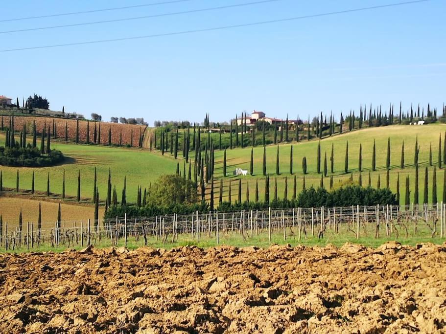 Castello Di Fulignano Ildebrando Superior Apartment San Gimignano Bagian luar foto